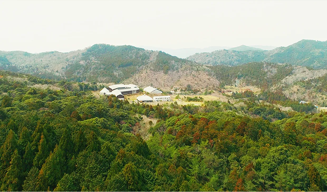 森に囲まれた黄柳野（つげの）高校校舎の航空写真